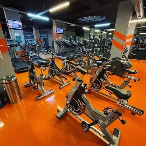 Spor