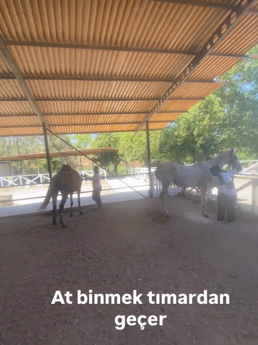 Mavi Oba At Çiftliği galeri 1