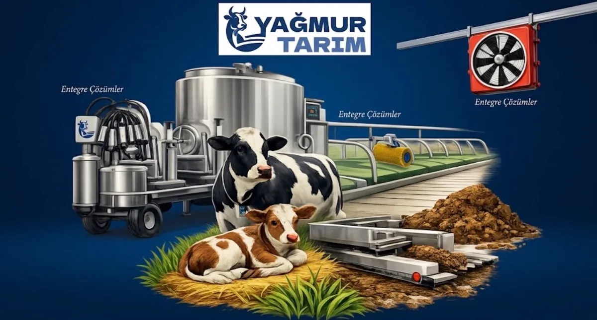 Yağmur Tarım